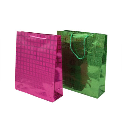 Bolsa Brillante C/Fuelle 27X23Cm/8522-2